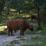 Lejlighed Zandrijk