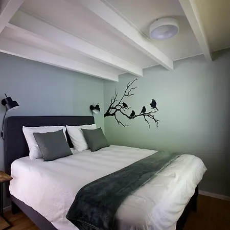 Zandrijk 公寓 埃赫蒙德·安登胡夫