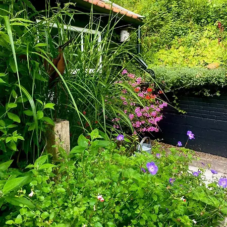 Zandrijk Διαμέρισμα